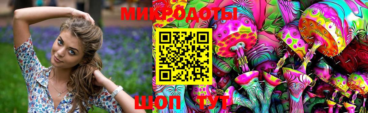 Псилоцибиновые грибы мицелий  Вход с VPN  Салехард 